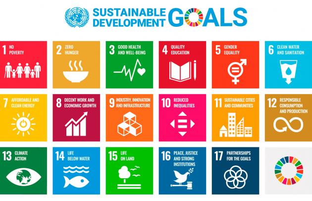 SDGs logo